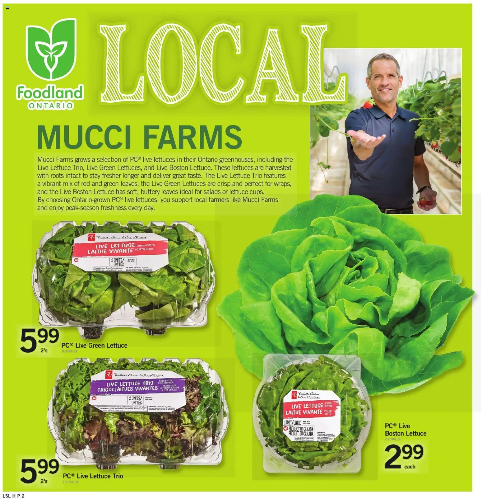 Loblaws flyer valid from Jul 2, 2026 | Page: 3
