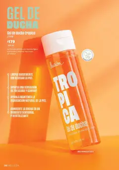 Vista previa de Ilusión catálogo Otoño, nuevo folleto de la tienda, válido en México a partir del 01/07/2026 | Página: 294 | Productos: Mango, Espuma, Gel de ducha