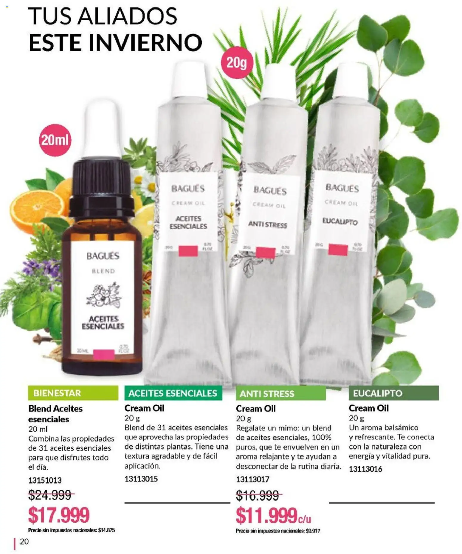 Bagués - Catálogo │ válido desde el 04.05.2026 | Página: 20 | Productos: Té