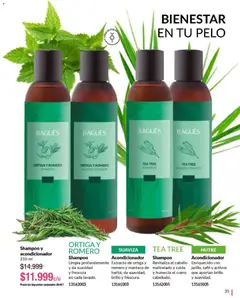 Vista previa Bagués - Catálogo válido desde el 04.05.2026 | Página: 35 | Productos: Shampoo, Acondicionador, Manteca, Café