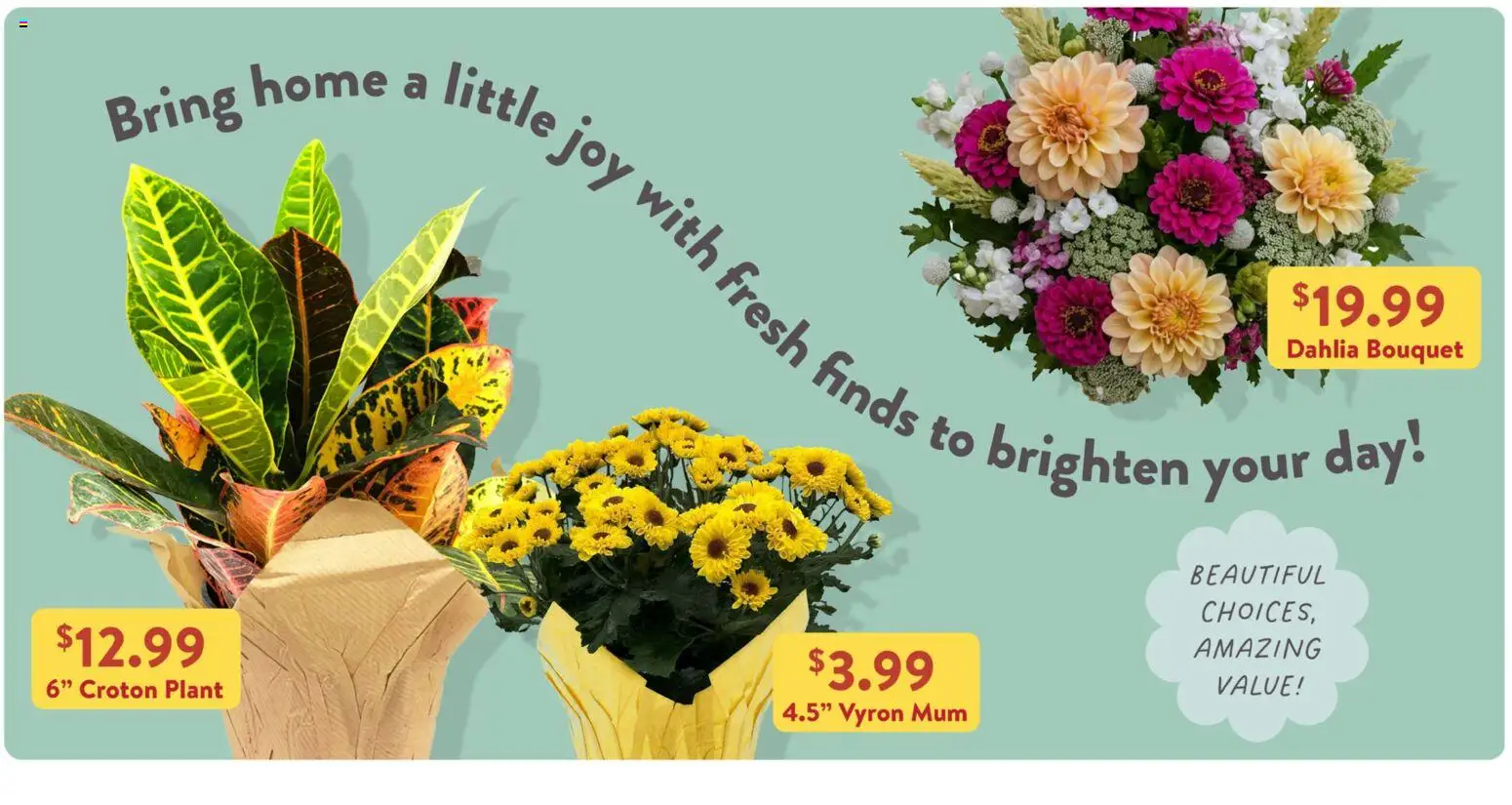 Fresh Thyme Weekly Ad - valid from 08/05/2026 | Page: 7
