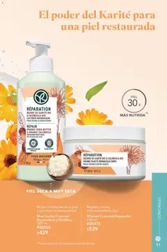 Vista previa de Yves Rocher campaña 13 2026, nuevo folleto de la tienda, válido en México a partir del 15/09/2026 | Página: 95 | Productos: Leche, Mousse, Body