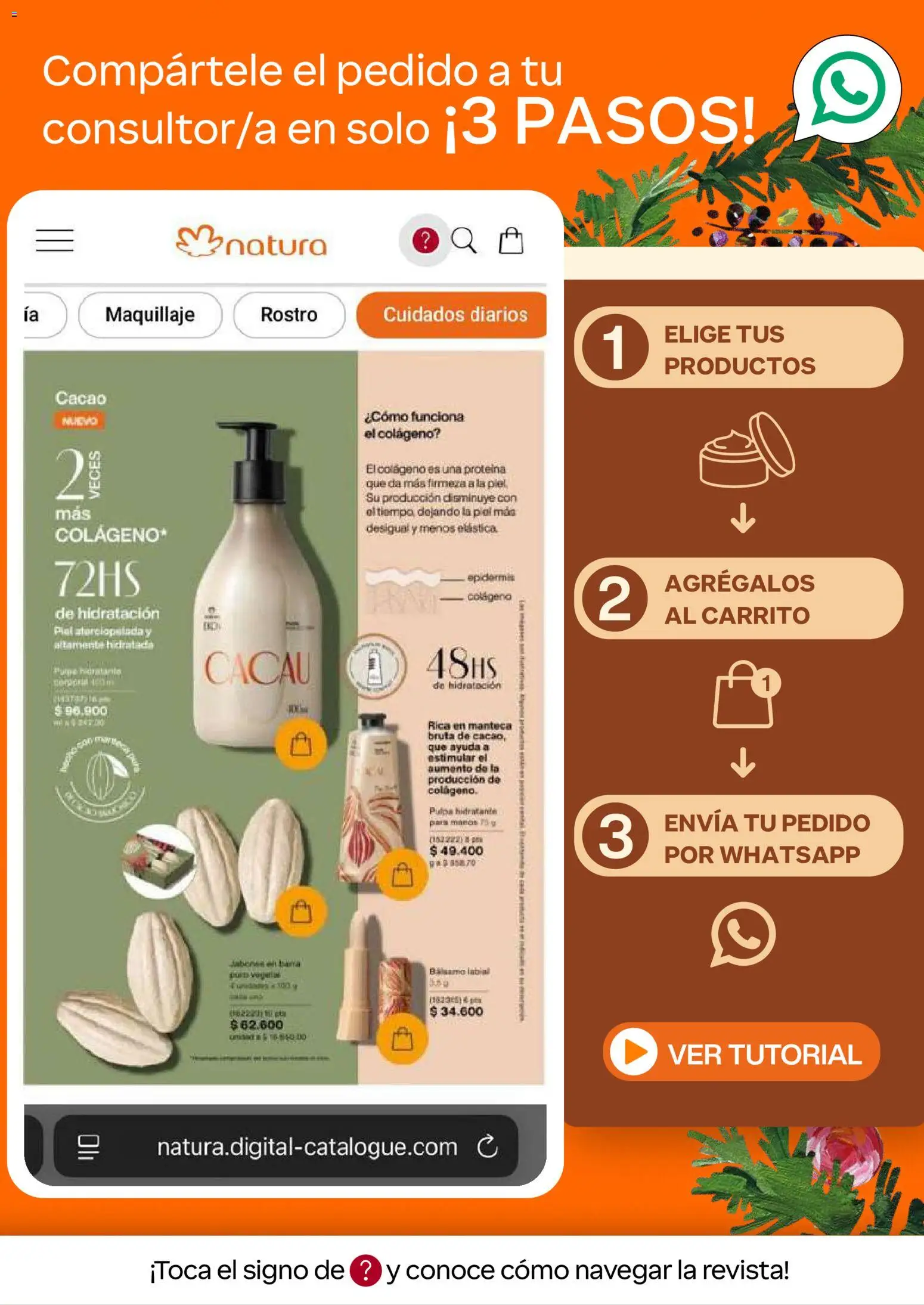 Natura revista - valida desde el 19/10/2026 | Página: 3