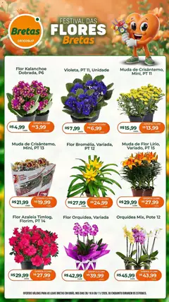 Bretas ofertas Flores - Pré-Visualização do folheto da loja Bretas, válido de 30/10/2026