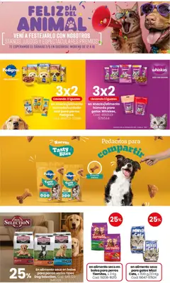 Vista previa Coto - Ofertas Bazar, deco, aire libre y mascotas válido desde el 27.04.2026 | Página: 4 | Productos: Bolsa, Pollo, Té