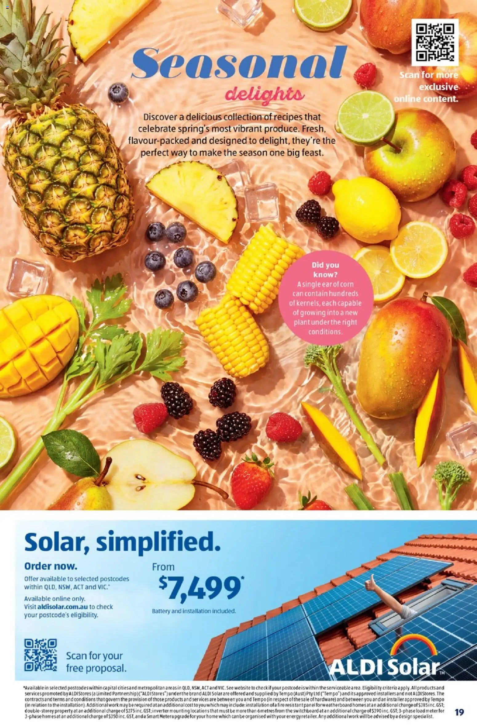 Aldi catalogue - valid from 08/09/2026 | Page: 19 | Products: Battery, Corn, Plant