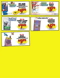 Preview of Ollie's weekly ads valid from 07/07/2026 | Page: 3 | Products: Cat Litter, Pads