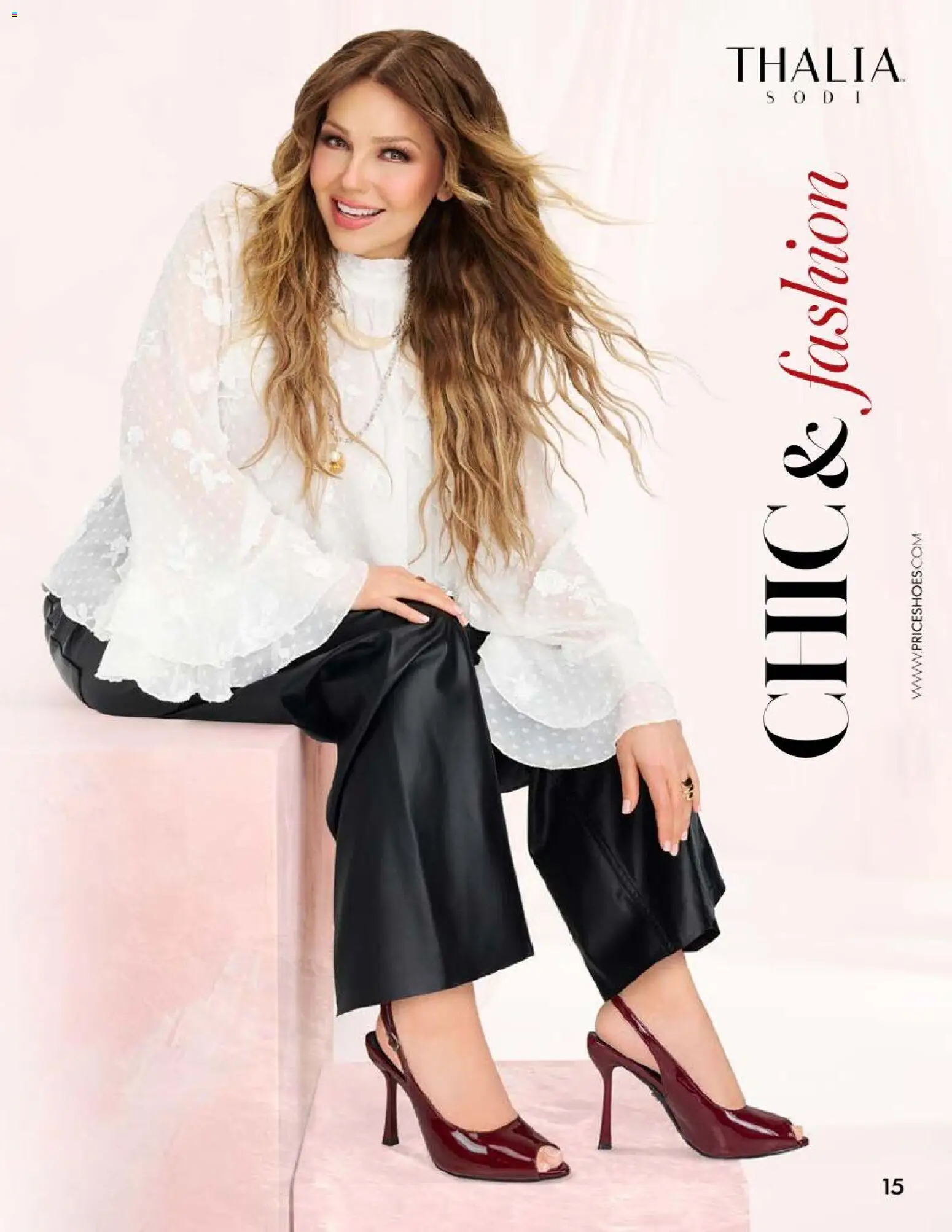 Nuevas ofertas de Price Shoes válidas en toda la República Mexicana desde el 28/08/2026. ¡Encuentra las mejores ofertas en Price Shoes catálogo Vestir Casual! | Página: 15
