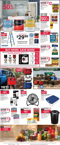 Preview of ACE Hardware weekly ads valid from 07/01/2026 | Page: 3