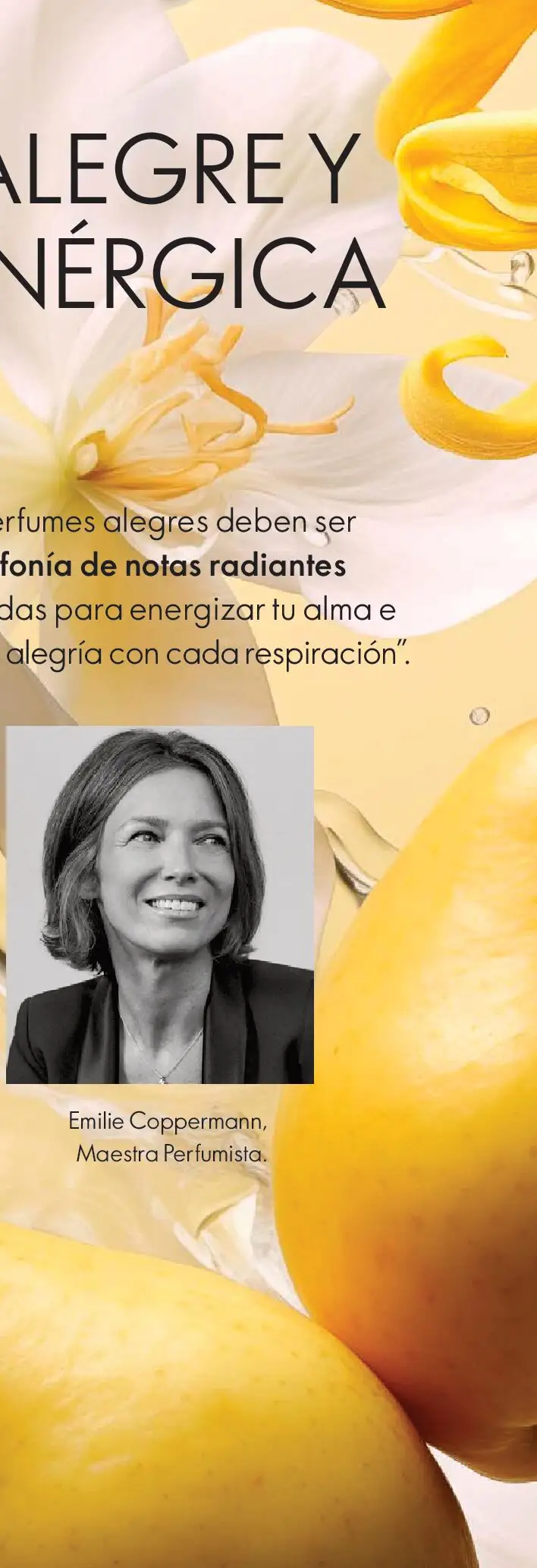Nuevas ofertas de Oriflame válidas en toda la República Mexicana desde el 09.05.2026. ¡Encuentra las mejores ofertas en Oriflame campaña 7 2026! | Página: 147