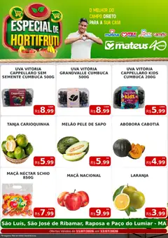 Mateus ofertas Especial do Horti - Pré-Visualização do folheto da loja Mateus, válido de 11/07/2026