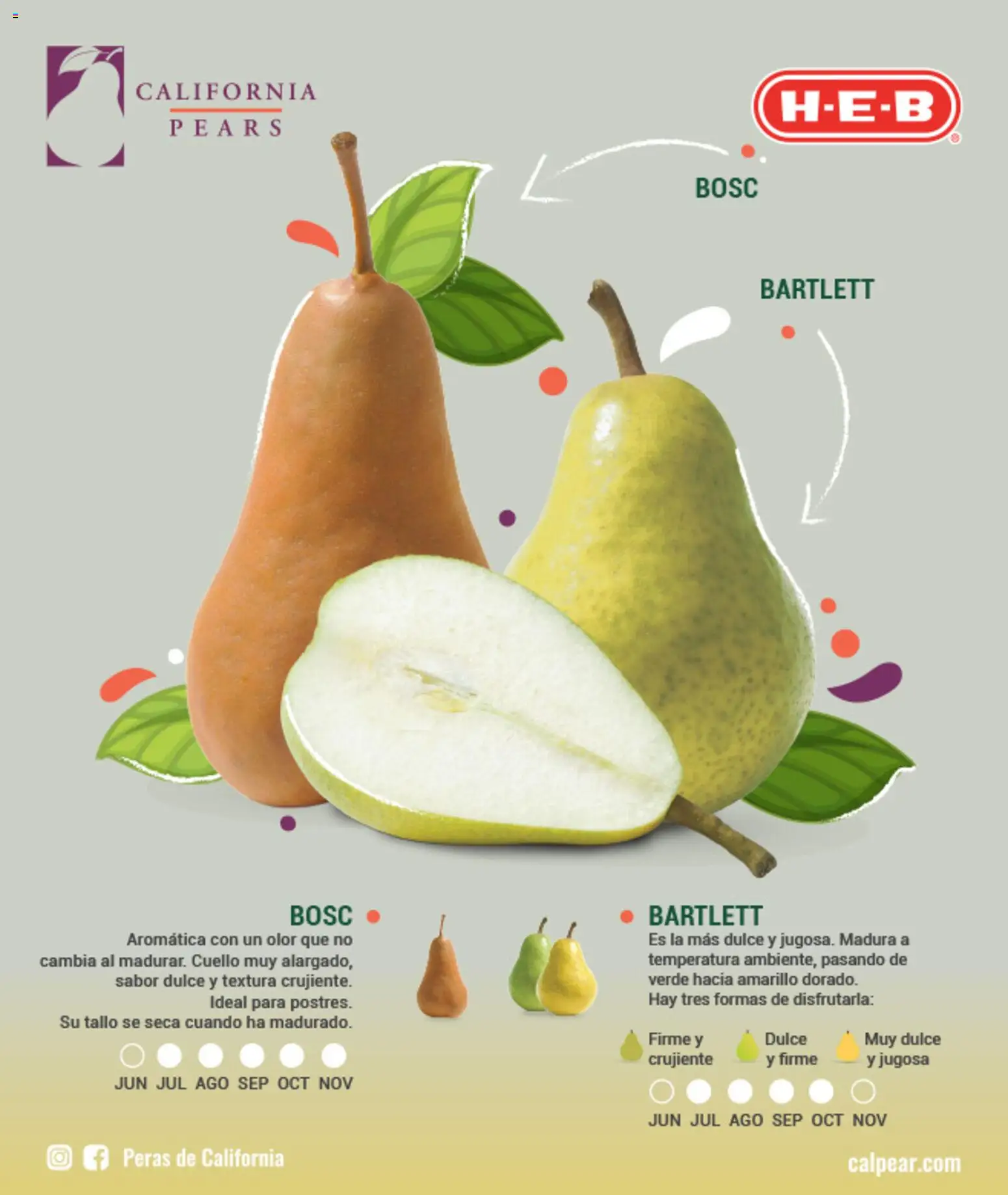 Nuevas ofertas de H-E-B válidas en toda la República Mexicana desde el 01/07/2026. ¡Encuentra las mejores ofertas en H-E-B folleto Celebra! | Página: 10