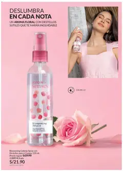 Vista previa de folleto Avon catálogo - Campaña 8 de la Avon válido desde 06.05.2026 | Página: 102 | Productos: Té
