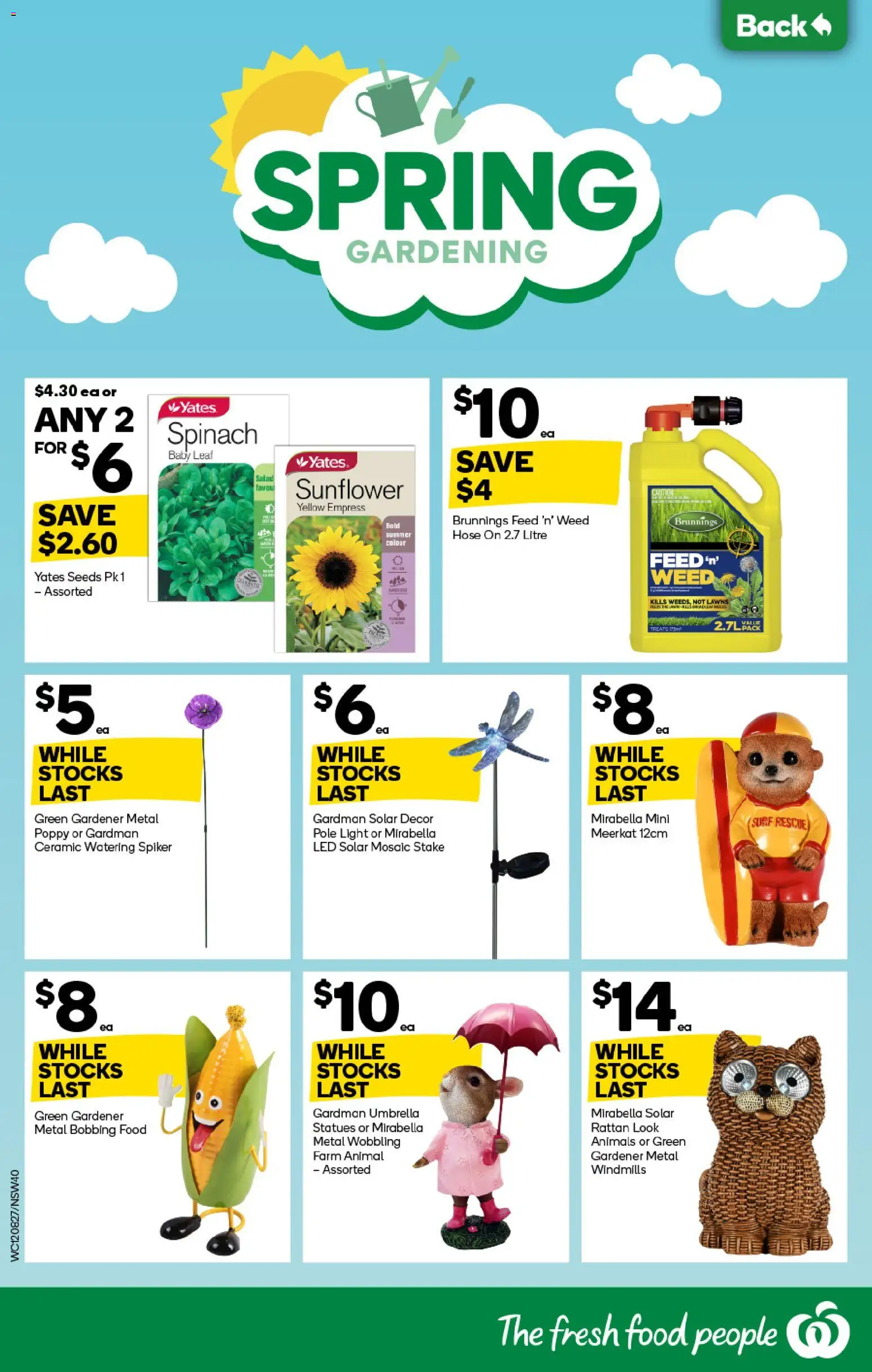 Woolworths catalogue - valid from 12/08/2026 | Page: 40 | Products: Decor, Light, Seeds, Umbrella