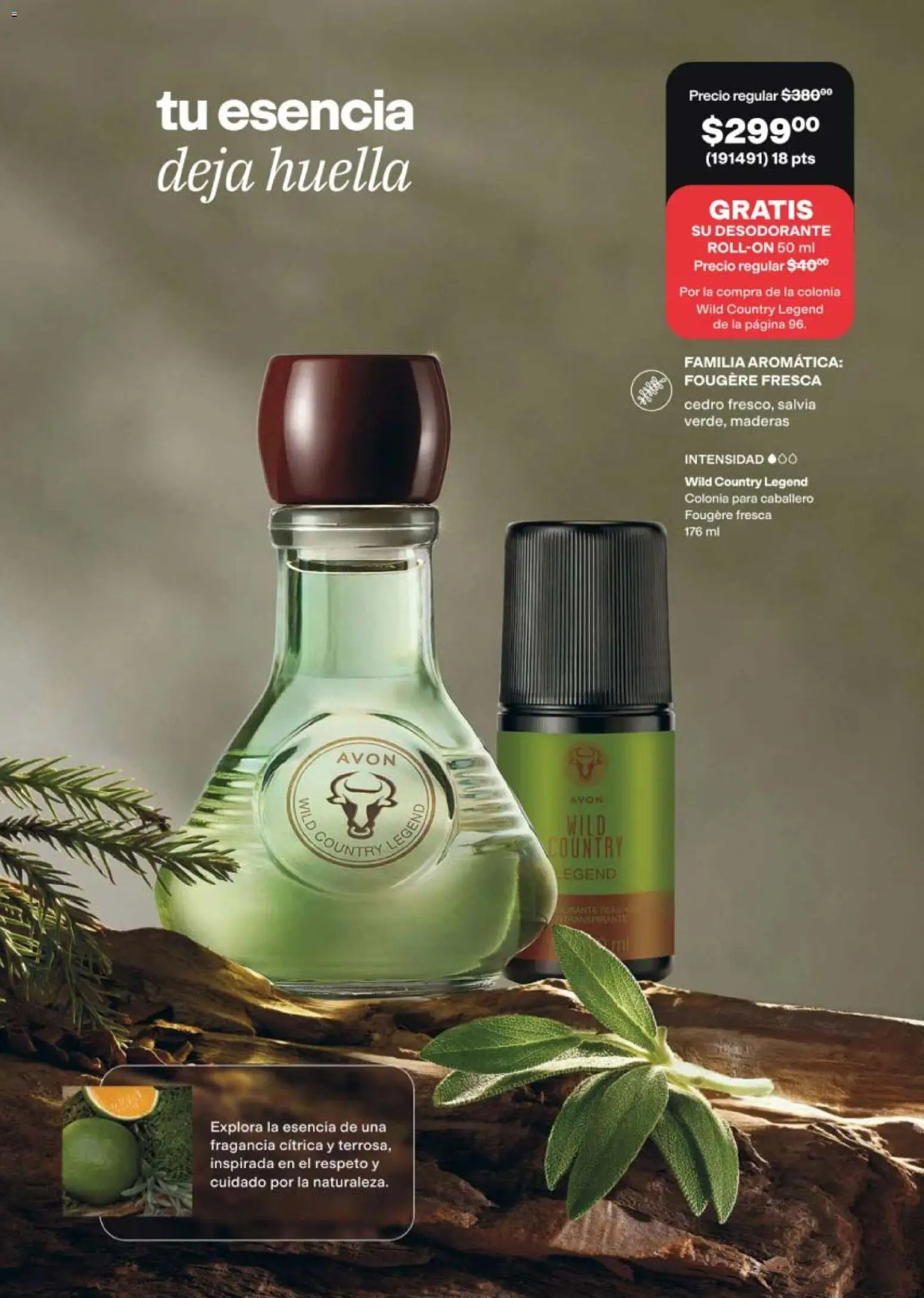 Nuevas ofertas de AVON válidas en toda la República Mexicana desde el 21/08/2026. ¡Encuentra las mejores ofertas en AVON campaña 13 2026! | Página: 93 | Productos: Desodorante, Fragancia