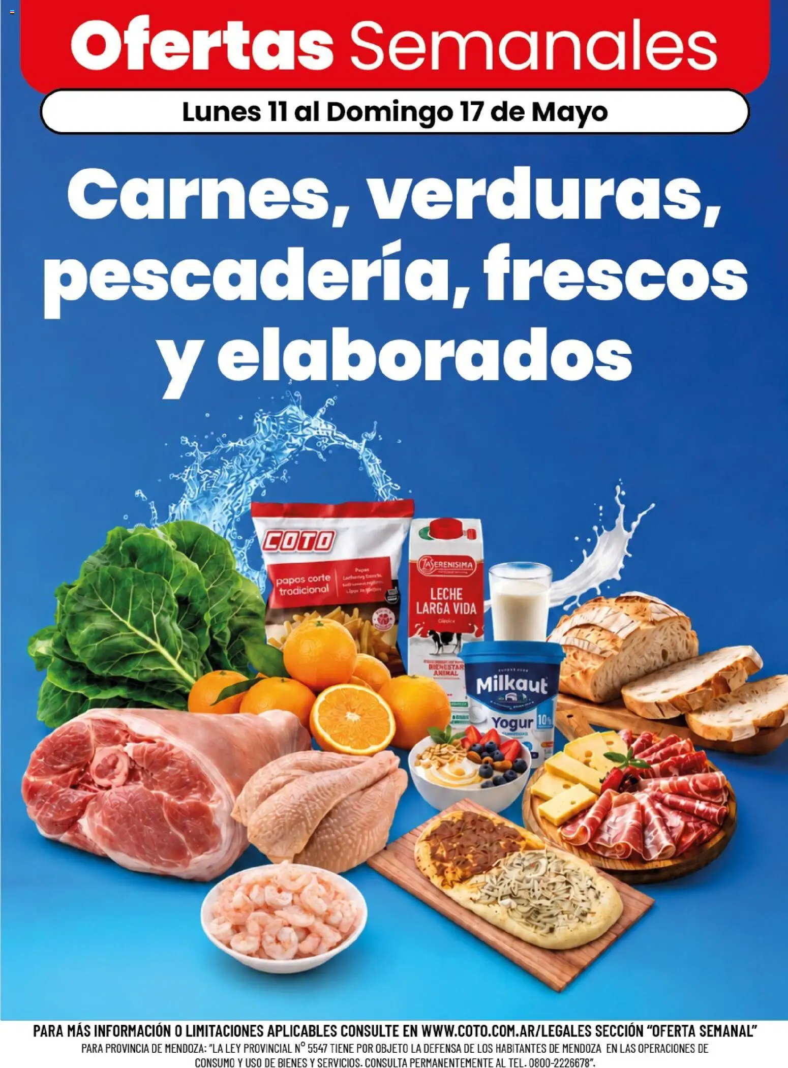 Coto ofertas │ válido desde el 11.05.2026 | Página: 1 | Productos: Leche, Yogur