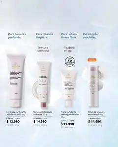 Natura Ofertas  válido desde el 01.05.2026 | Página: 102 | Productos: Mousse, Polvo