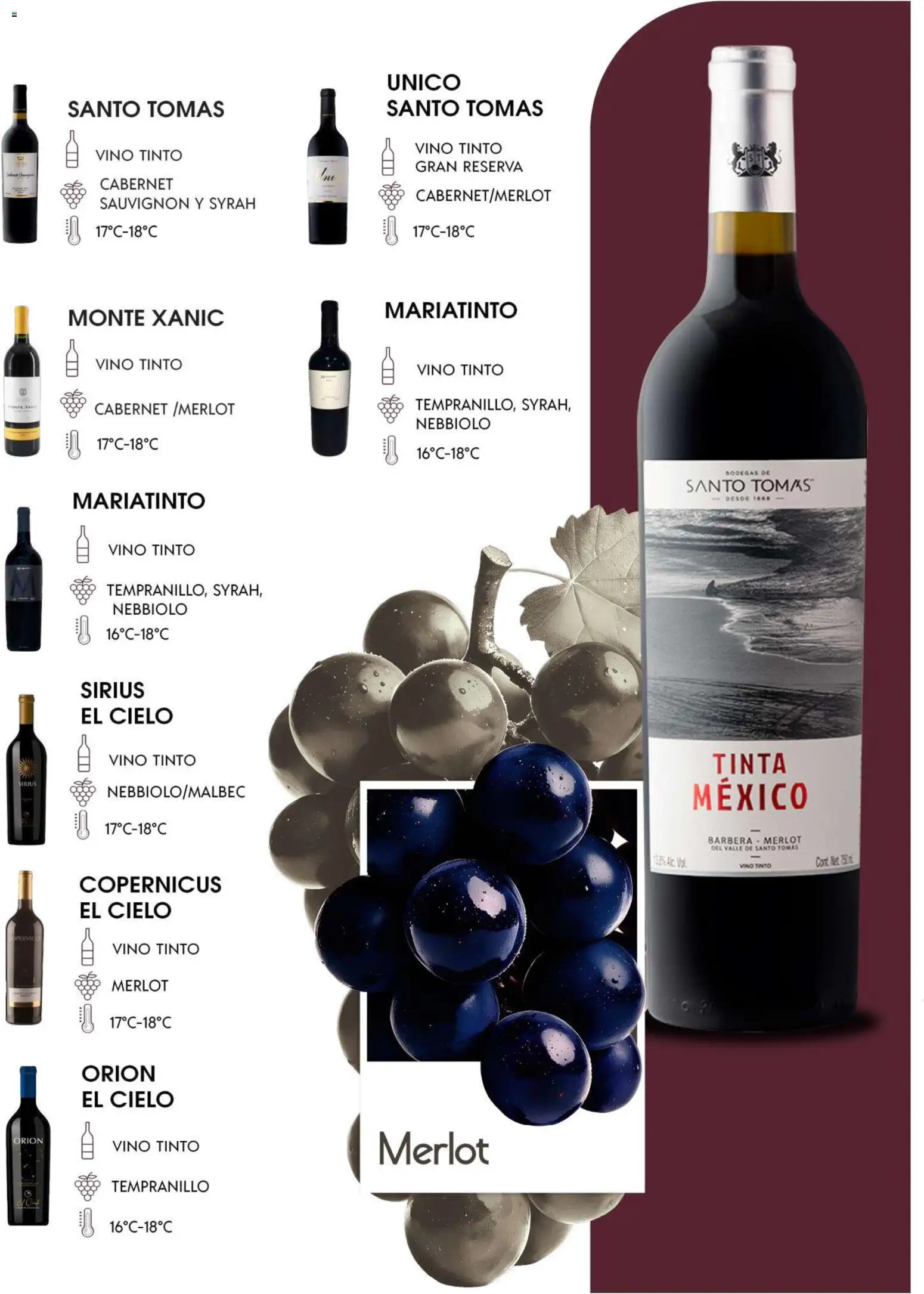Nuevas ofertas de Alsuper válidas en toda la República Mexicana desde el 29/09/2026. ¡Encuentra las mejores ofertas en Alsuper folleto Festival del Vino! | Página: 12 | Productos: Vino tinto, Vino