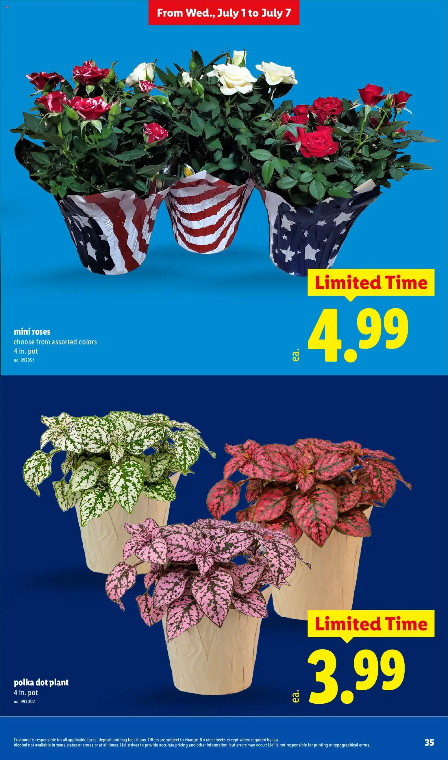 Lidl Weekly Ad - valid from 07/01/2026 | Page: 35