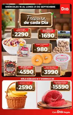 Vista previa Supermercado DIA Especial Frescos válido desde el 16/09/2026
