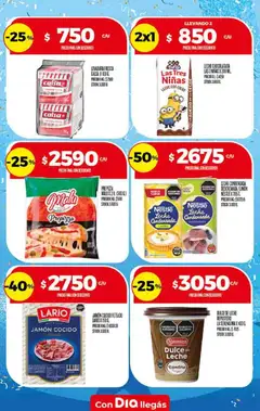 Vista previa Supermercado DIA Ofertas válido desde el 17.06.2026 | Página: 17