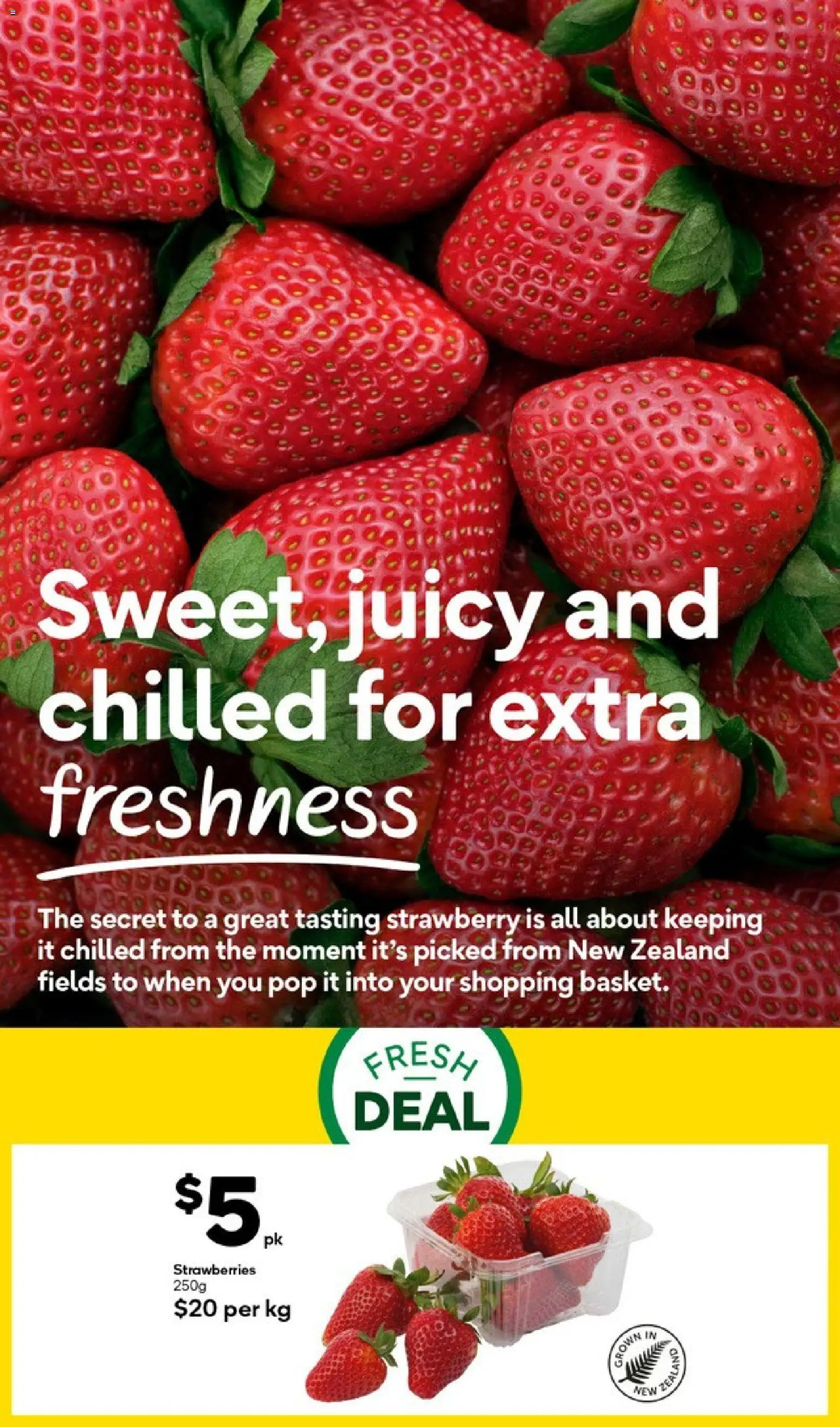 Woolworths catalogue from 26 Oct 2026 | Page: 9