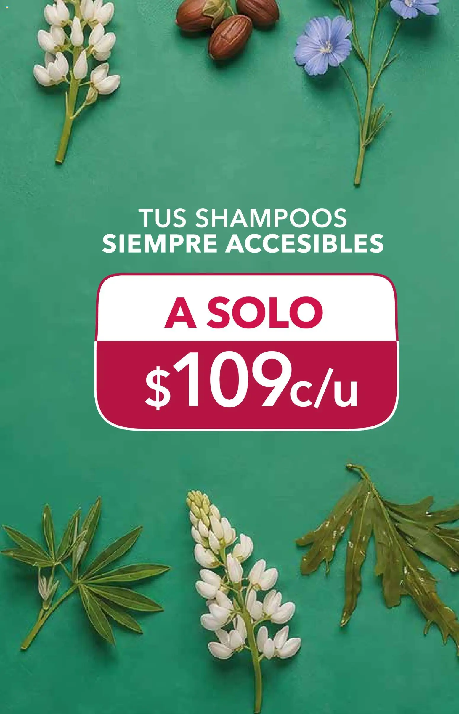 Nuevas ofertas de Yves Rocher válidas en toda la República Mexicana desde el 06/10/2026. ¡Encuentra las mejores ofertas en Yves Rocher campaña 14 2026! | Página: 51
