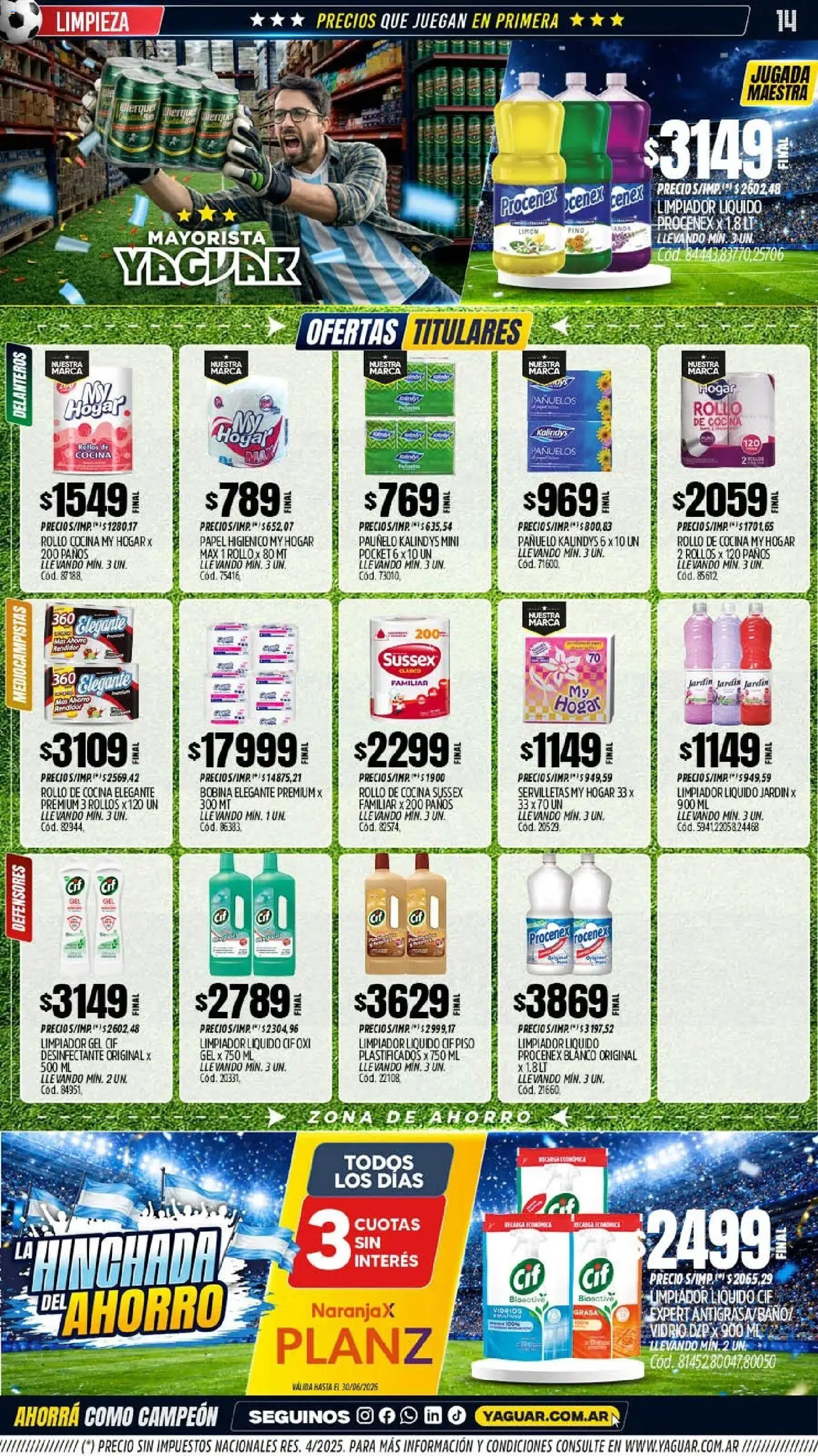 Yaguar - Oferta Semanal Mendoza │ válido desde el 15.06.2026 | Página: 13 | Productos: Papel higiénico, Pañuelo, Servilletas, Limpiador