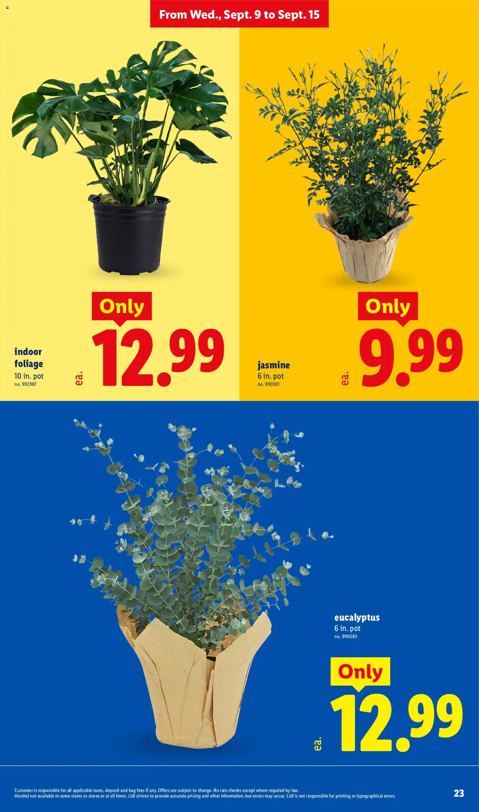 Lidl Weekly Ad - valid from 09/09/2026 | Page: 23