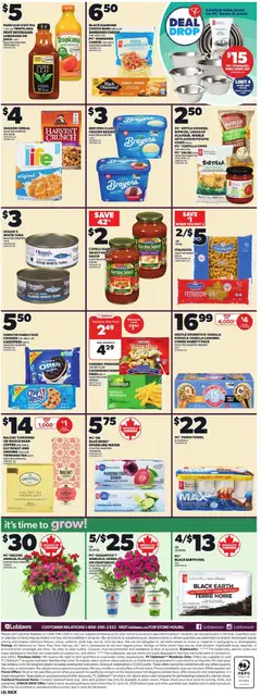 Preview of Loblaws weekly flyer / circulaire from shop Loblaws valid from 11.06.2026 | Page: 5 | Products: Tea, PC, Case, Coffee