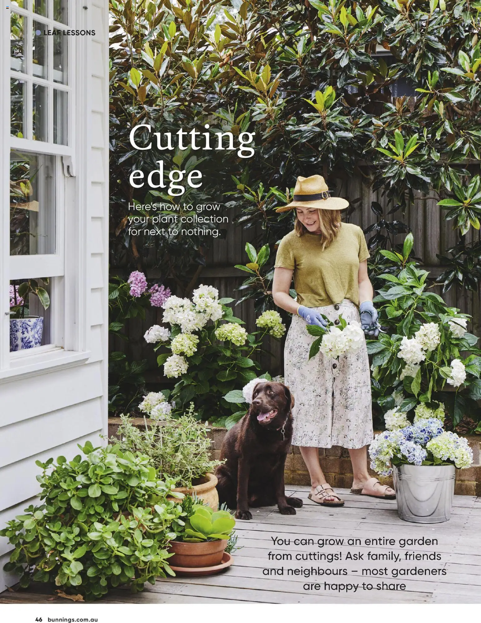 Bunnings Warehouse catalogue - valid from 01.05.2026 | Page: 46 | Products: Plant