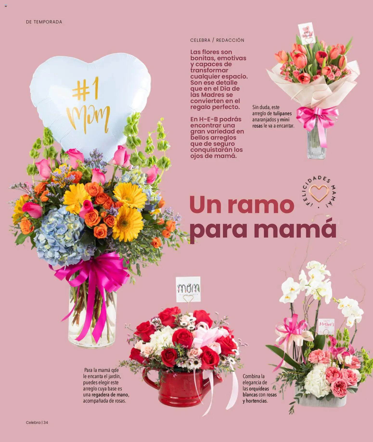 Nuevas ofertas de H-E-B válidas en toda la República Mexicana desde el 01.05.2026. ¡Encuentra las mejores ofertas en H-E-B folleto Celebra! | Página: 34 | Productos: Regadera