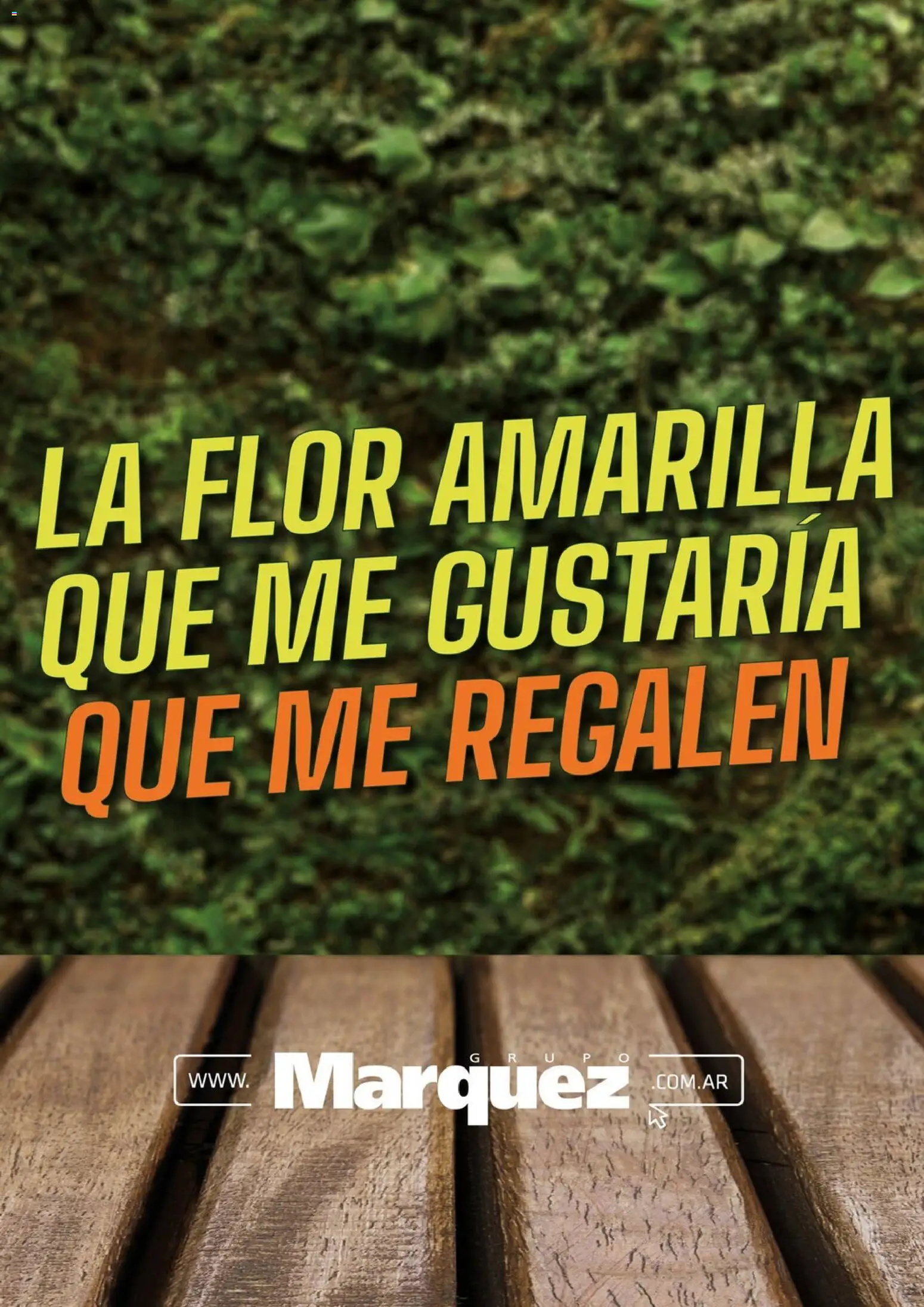 Grupo Marquez catálogo │ válido desde el 01/10/2026 | Página: 1