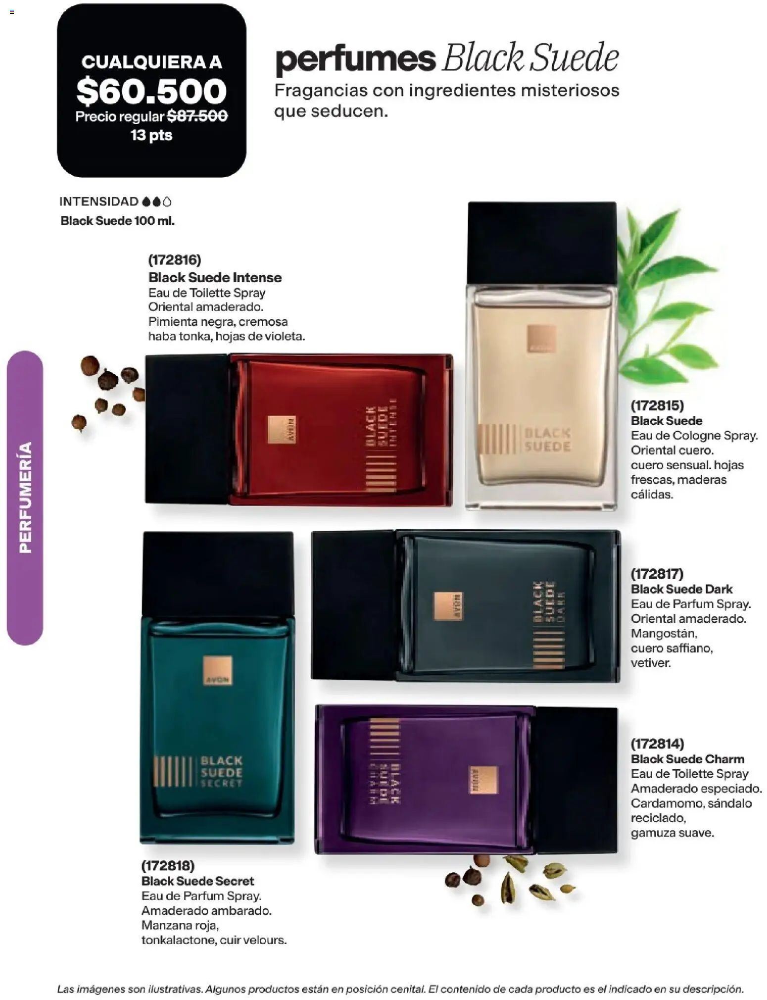 Avon revista - valida desde el 16/08/2026 | Página: 96 | Productos: Pimienta, Gamuza, Perfumes, Eau de toilette