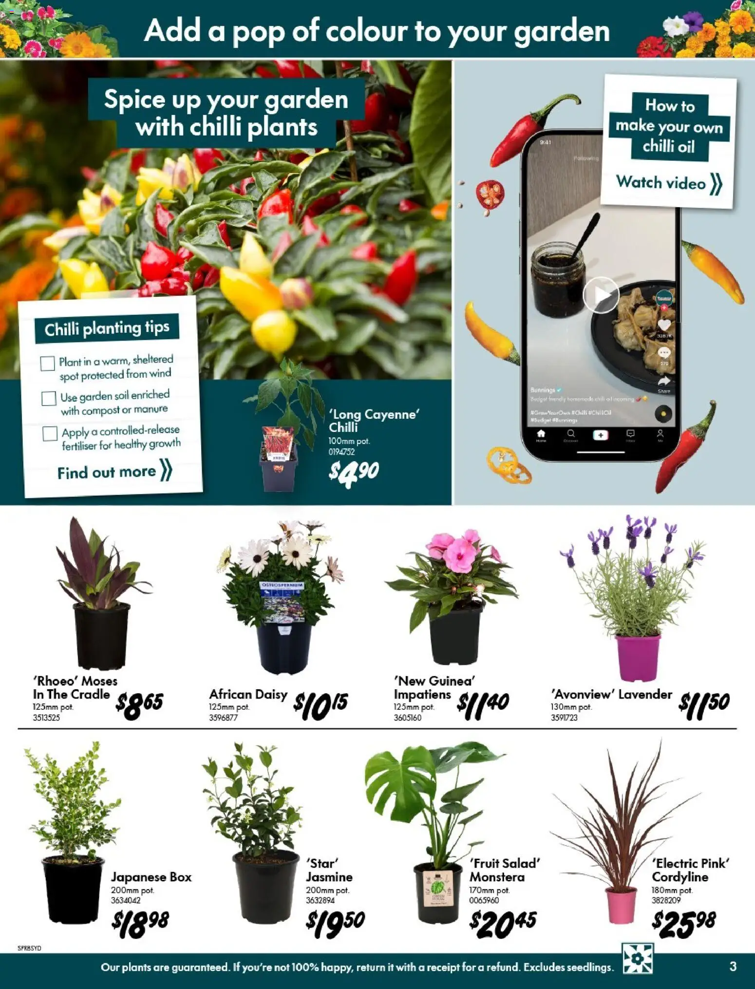 Bunnings Warehouse catalogue - valid from 09/09/2026 | Page: 3