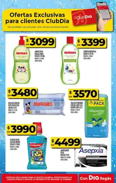 Vista previa Supermercado DIA Ofertas válido desde el 10.06.2026 | Página: 25