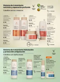Vista previa de folleto Natura catálogo  - Ciclo 7 de la Natura válido desde 31.03.2026 | Página: 134 | Productos: Shampoo, Acondicionador, Caja, Crema