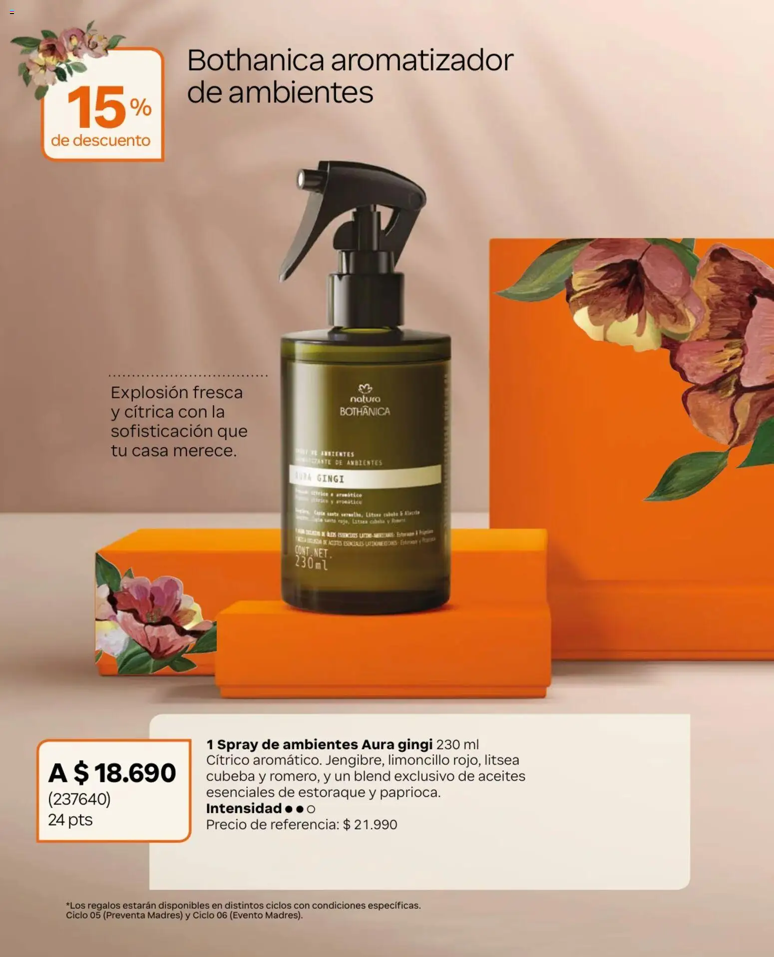 Natura Ofertas  │ válido desde el 01.05.2026 | Página: 37