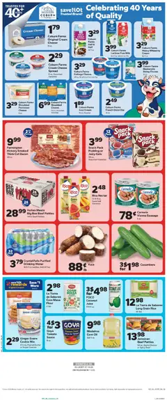 Preview of Save a Lot weekly ads valid from 10.06.2026 | Page: 2