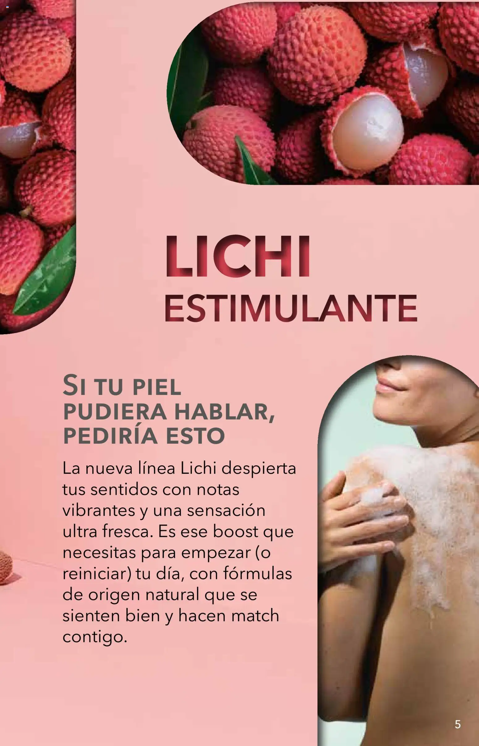 Nuevas ofertas de Yves Rocher válidas en toda la República Mexicana desde el 06/10/2026. ¡Encuentra las mejores ofertas en Yves Rocher campaña 14 2026! | Página: 5