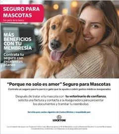 Vista previa de Costco catálogo, nuevo folleto de la tienda, válido en México a partir del 11.05.2026 | Página: 8