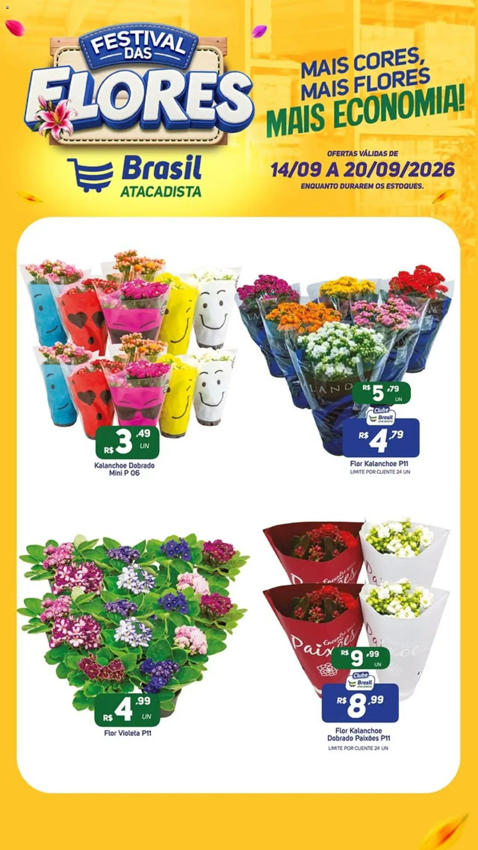 Brasil Atacadista Folheto - válido de 14/09/2026 | Página: 2 | Produtos: Flores