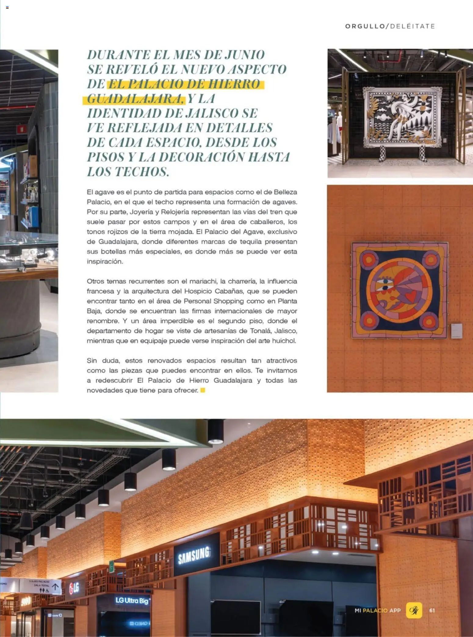 Nuevas ofertas de Palacio De Hierro válidas en toda la República Mexicana desde el 01/08/2026. ¡Encuentra las mejores ofertas en Palacio De Hierro catálogo! | Página: 64 | Productos: Tequila, Planta, Té