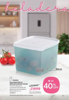 Vista previa Tupperware Folleto válido desde el 28.04.2026 | Página: 48 | Productos: Heladera