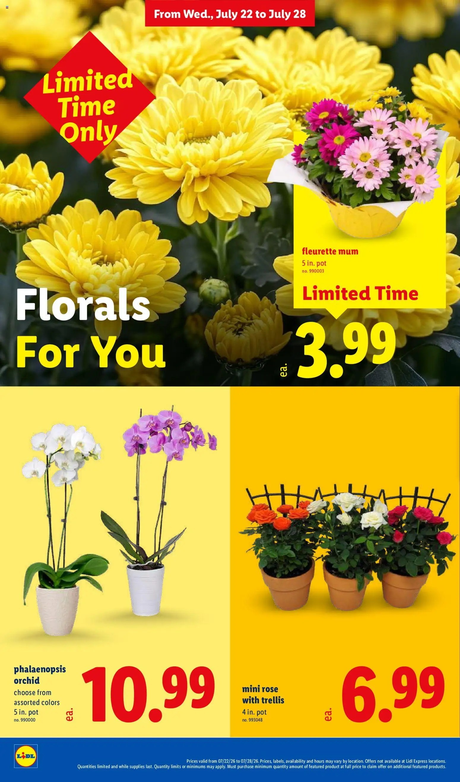 Lidl Weekly Ad - valid from 07/22/2026 | Page: 36