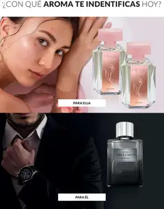 Vista previa de folleto Avon catálogo - Campaña 8 de la Avon válido desde 06.05.2026 | Página: 75 | Productos: Té