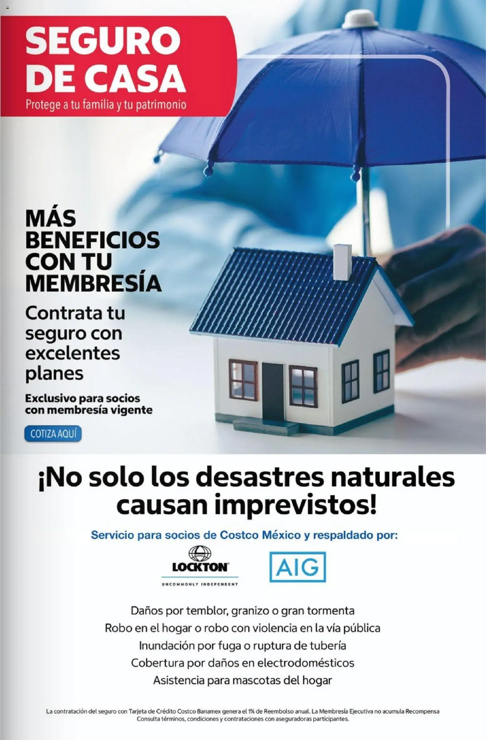 Nuevas ofertas de Costco válidas en toda la República Mexicana desde el 01.06.2026. ¡Encuentra las mejores ofertas en Costco Revista Junio 2026! | Página: 23