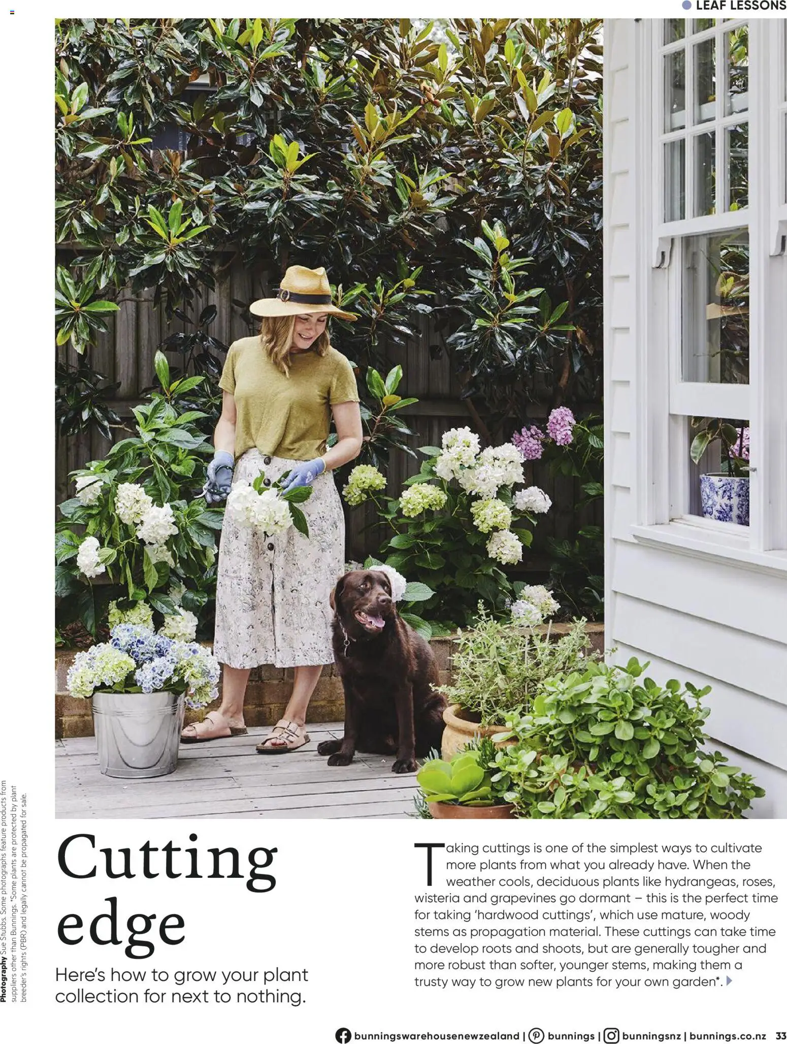 Bunnings Warehouse catalogue from 01.06.2026 | Page: 33