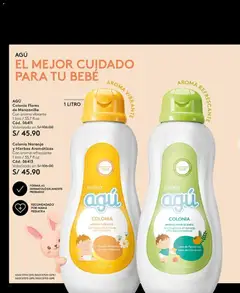 Vista previa de folleto Ésika catálogo - Campaña 13 de la Ésika válido desde 02/08/2026 | Página: 146 | Productos: Hierbas, Flores, Fragancia