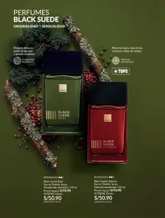 Vista previa de folleto Avon catálogo - Campaña 9 de la Avon válido desde 24/05/2026 | Página: 93 | Productos: Aceite, EAU de Toilette